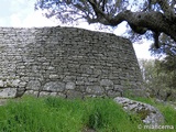 Castro prerromano de Yecla La Vieja