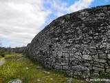 Castro prerromano de Yecla La Vieja