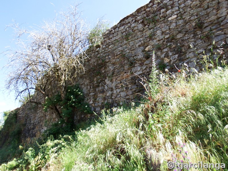 Muralla urbana de Monleón