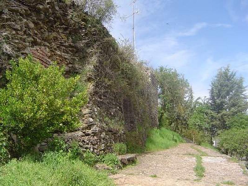 Muralla urbana de Monleón