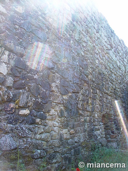 Muralla urbana de Monleón