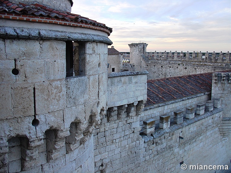 Castillo de los Duques de Alburquerque