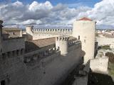 Castillo de los Duques de Alburquerque