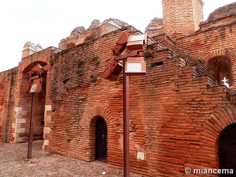 Castillo de Coca