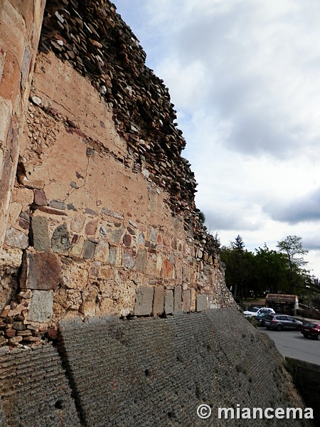 Castillo de Coca