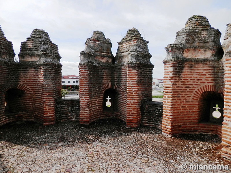 Castillo de Coca