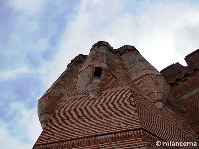 Castillo de Coca