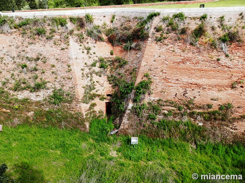 Castillo de Coca