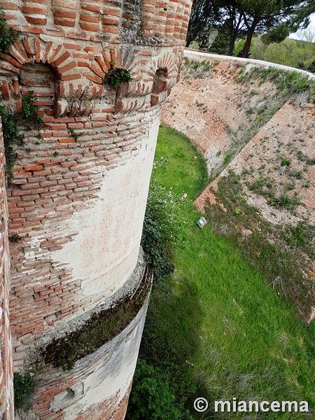 Castillo de Coca