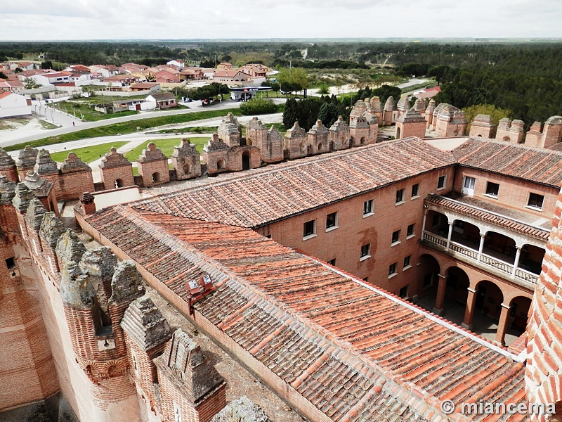 Castillo de Coca