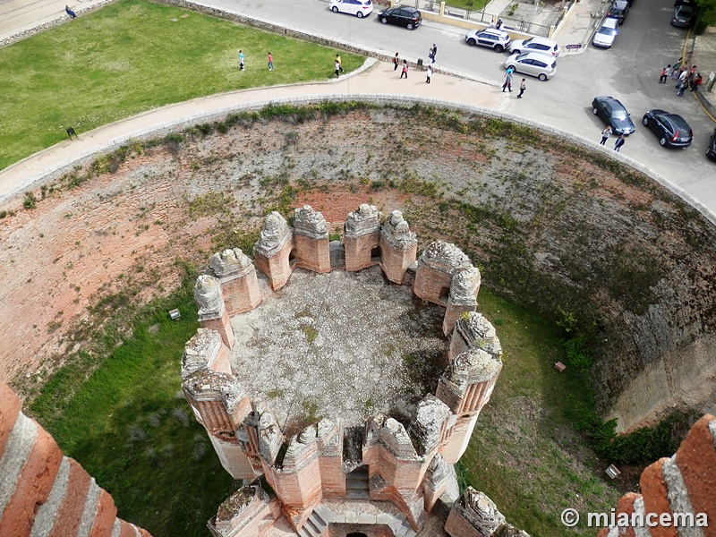 Castillo de Coca