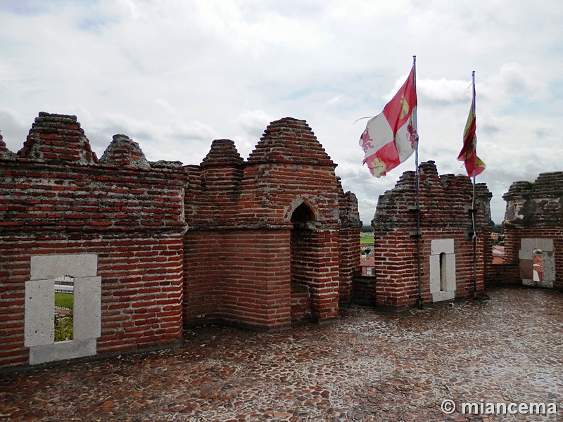 Castillo de Coca