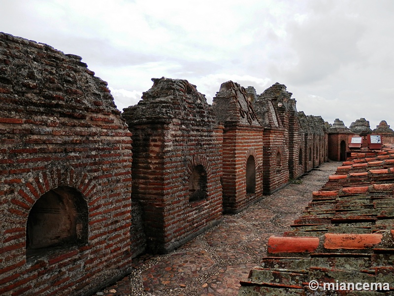 Castillo de Coca