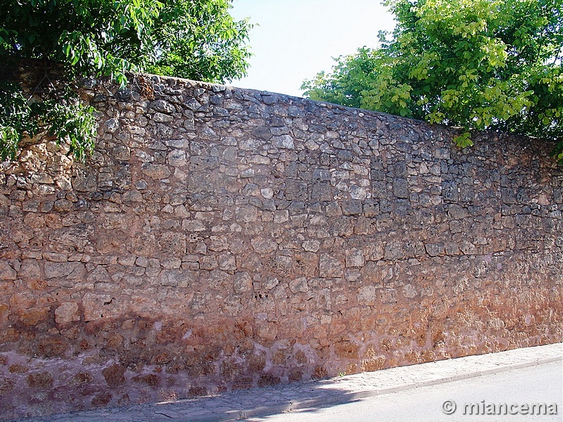Muralla urbana de Ayllón