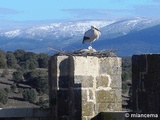 Torreón de las Hontanillas