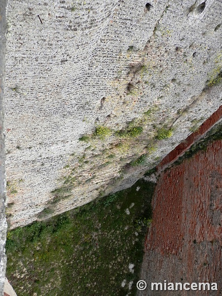 Muralla urbana de Coca