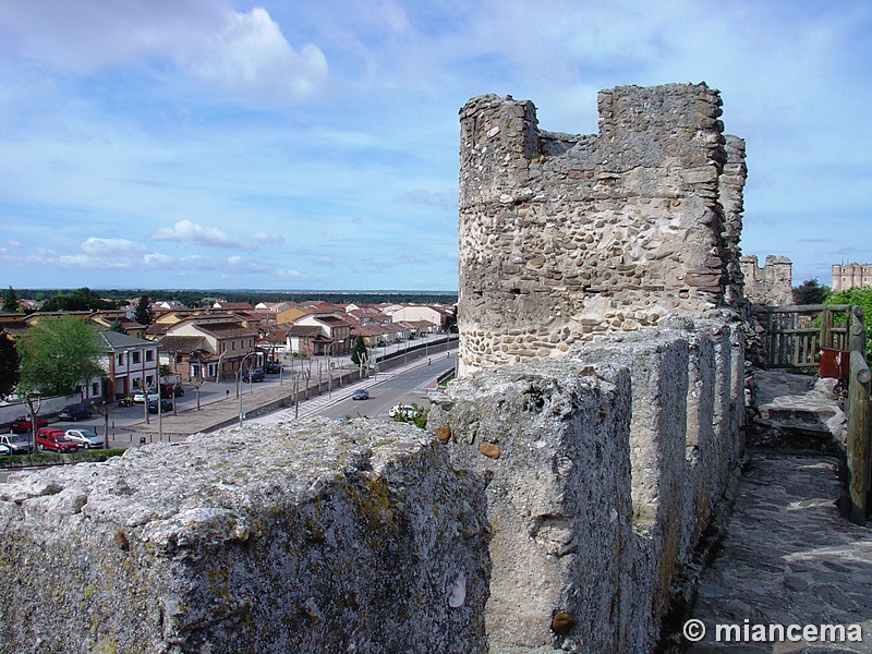 Muralla urbana de Coca