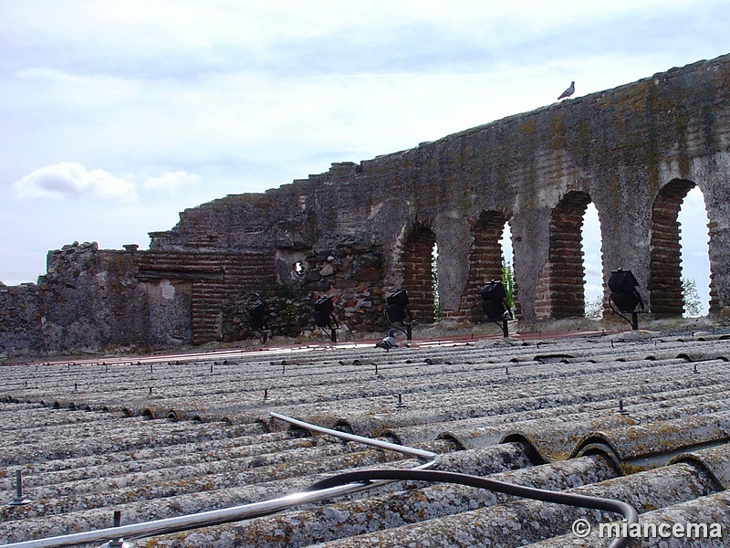 Muralla urbana de Coca