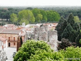 Muralla urbana de Coca