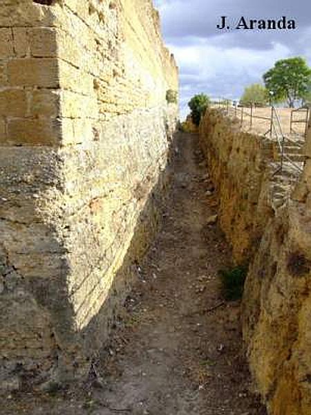 Alcázar del Rey don Pedro