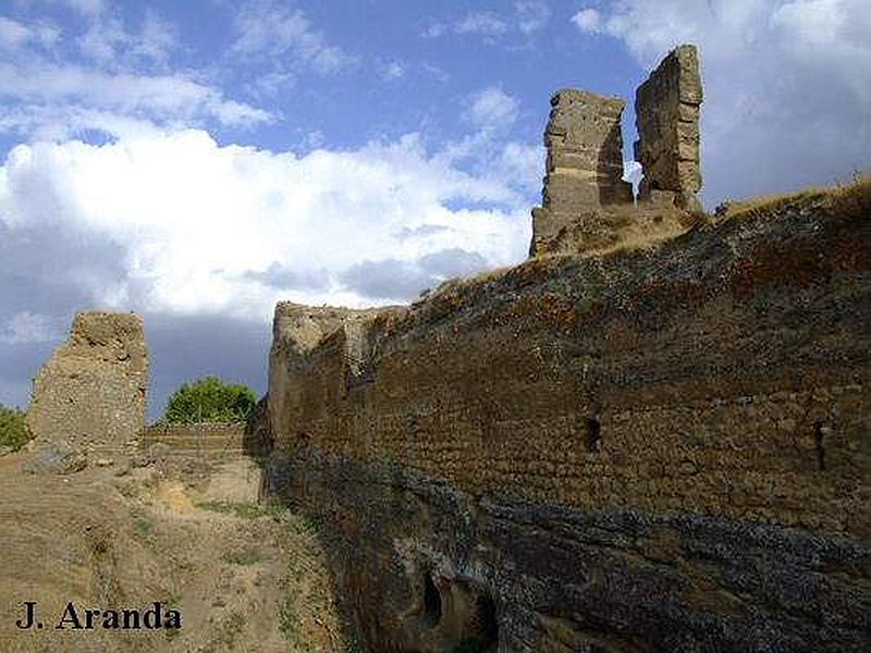 Alcázar del Rey don Pedro