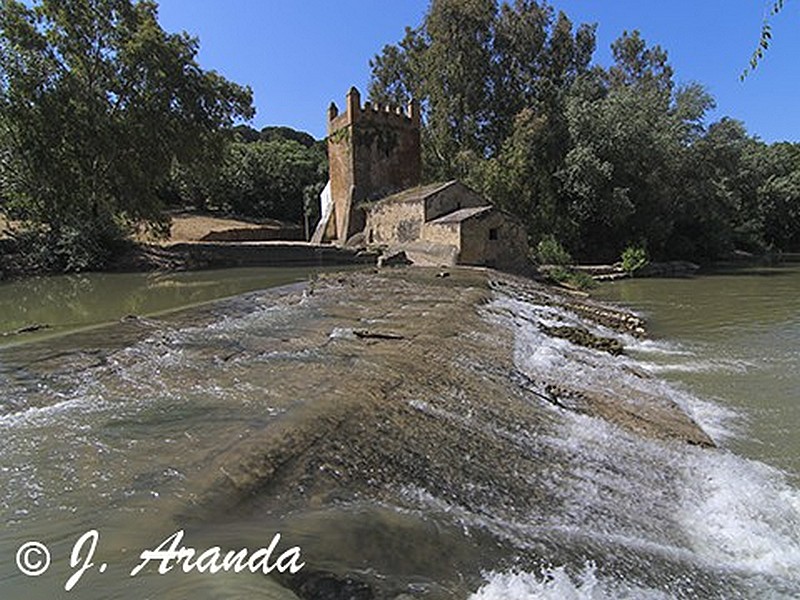 Molino fortificado El Algarrobo