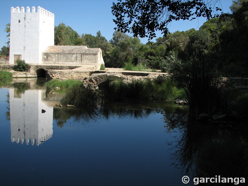 Molino fortificado Las Aceñas