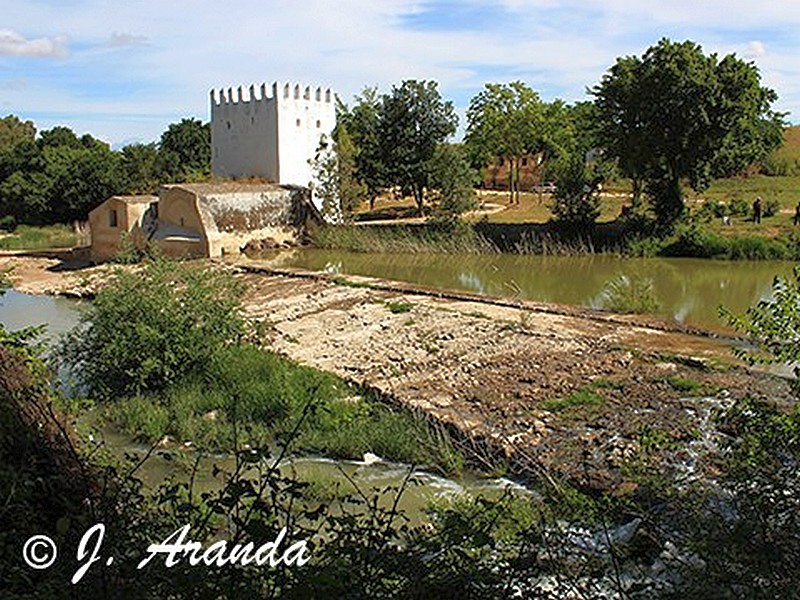 Molino fortificado Las Aceñas