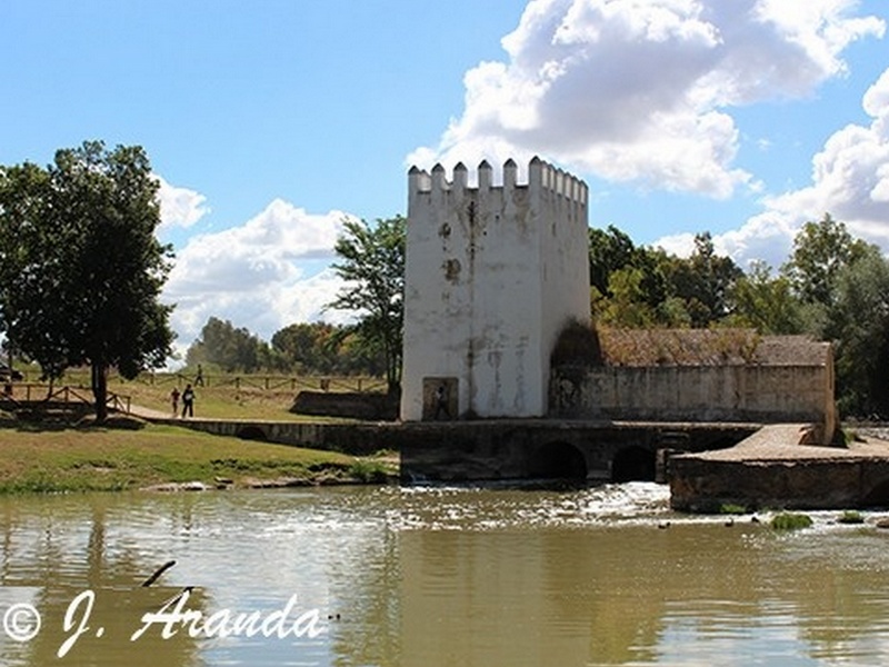 Molino fortificado Las Aceñas