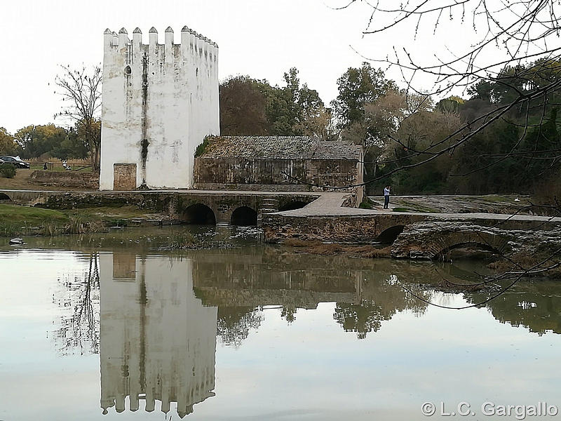 Molino fortificado Las Aceñas