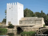 Molino fortificado Las Aceñas