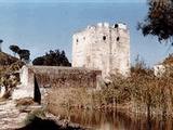 Molino fortificado Las Aceñas