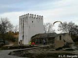 Molino fortificado Las Aceñas