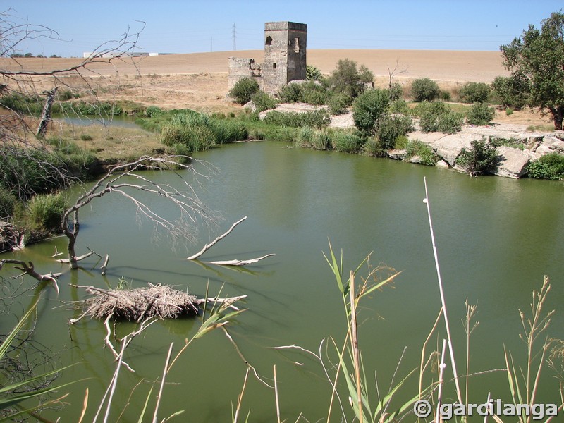 Molino fortificado de Cerrajas