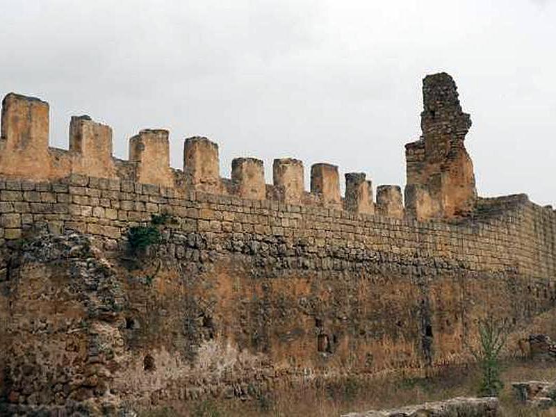 Alcazaba de Gormaz