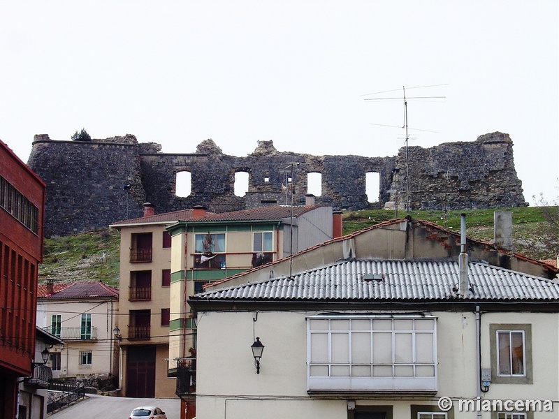 Castillo de San Leonardo de Yagüe