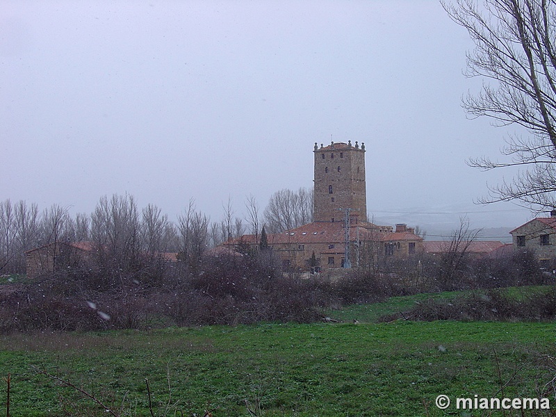 Casa fuerte de Aldealseñor