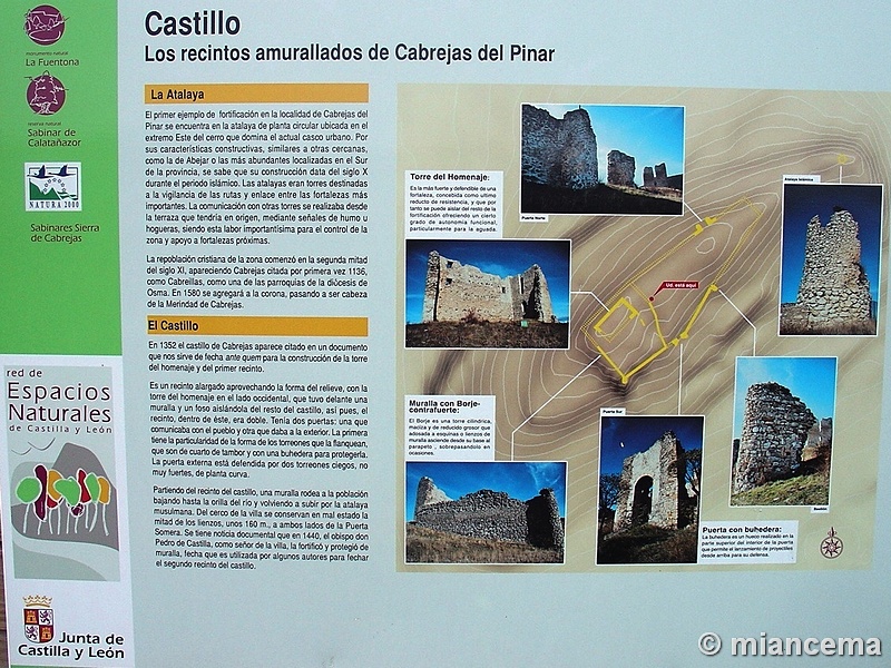 Castillo de Cabrejas del Pinar