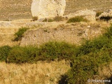 Muralla urbana de Caracena