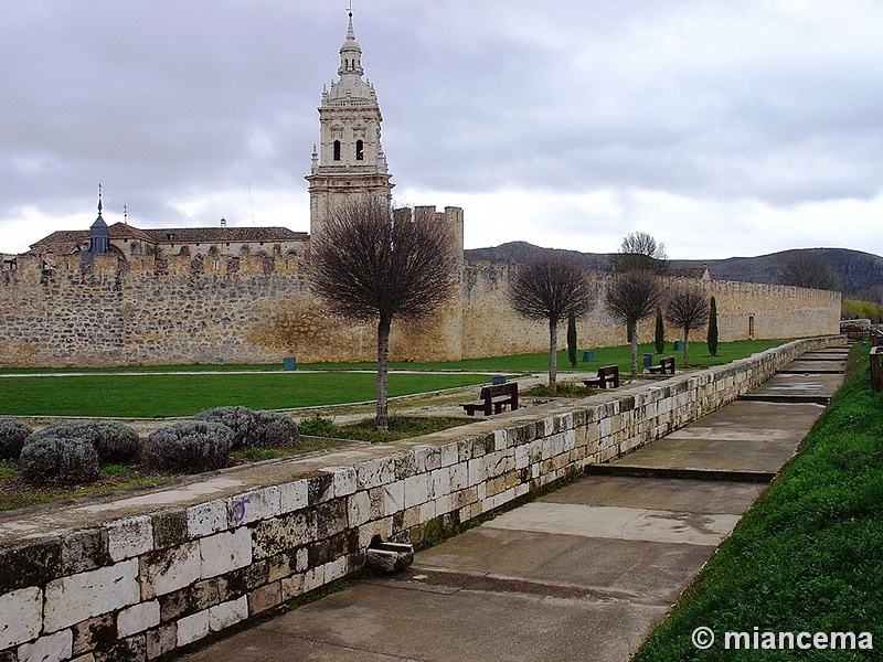 Muralla urbana de Burgo de Osma