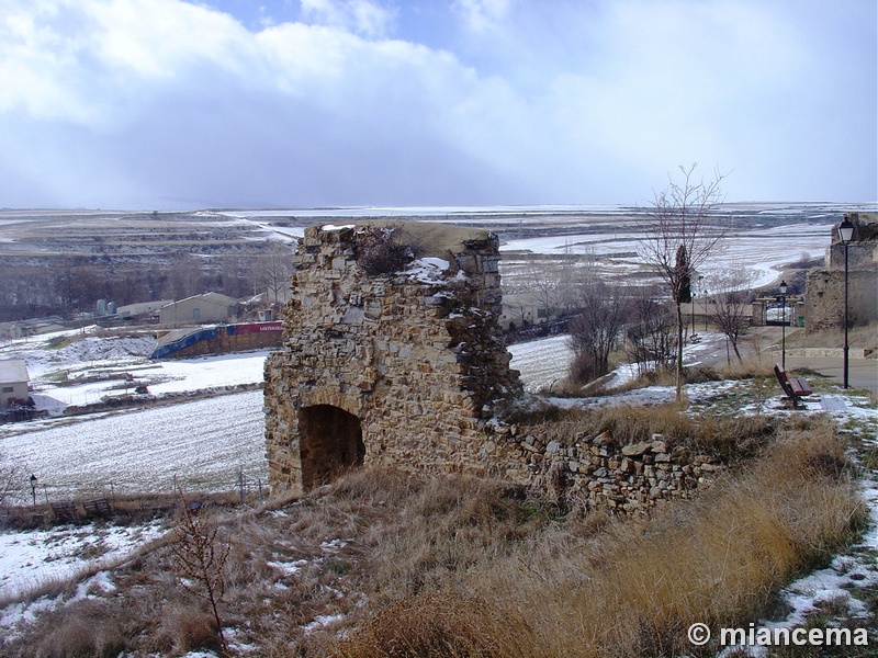 Puerta de la Muralla