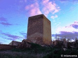 Torre de Villanueva de Zamajón