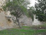 Muralla Romana de Tarragona