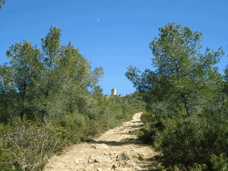 Torre de Montferri