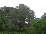 Torre de Fullola