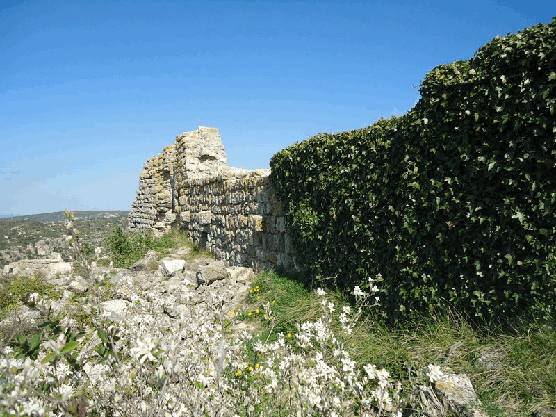 Castillo de Selmella