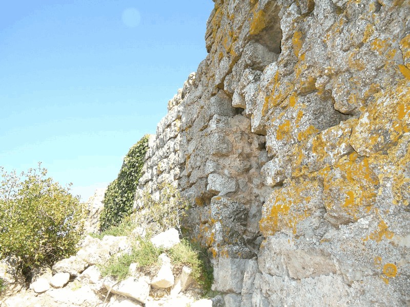 Castillo de Selmella