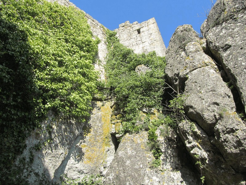 Castillo de Selmella