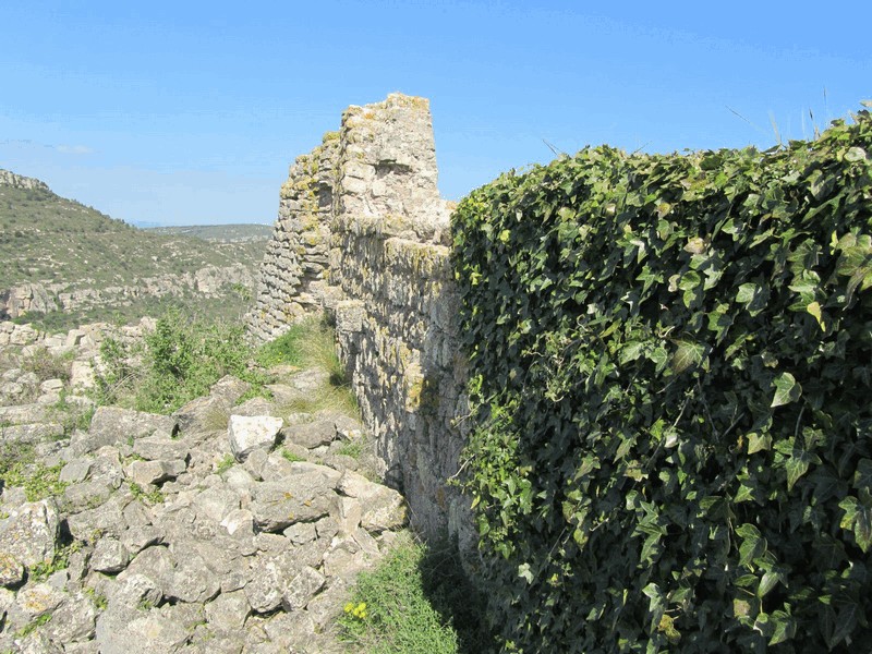 Castillo de Selmella