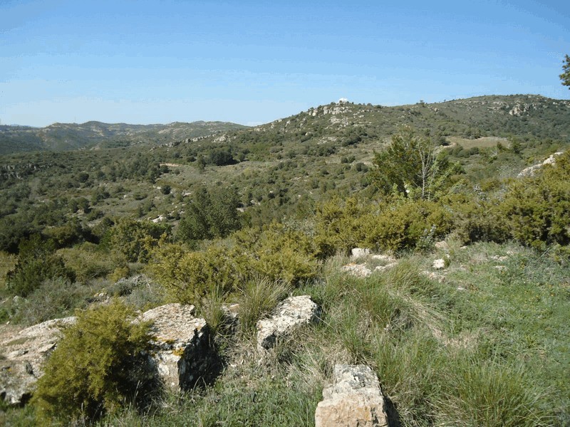 Castillo de Selmella